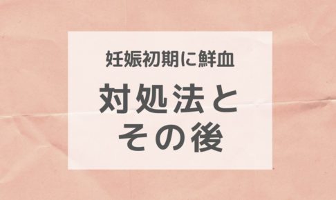 妊娠 アーカイブ ３兄弟の母だから 安上がりで育てたい