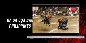Đá gà Philippines