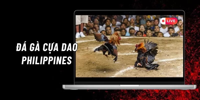 Đá gà Philippines