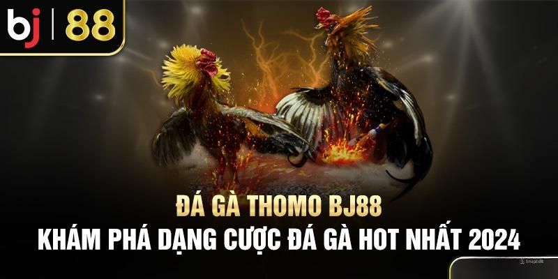 Đá gà Thomo